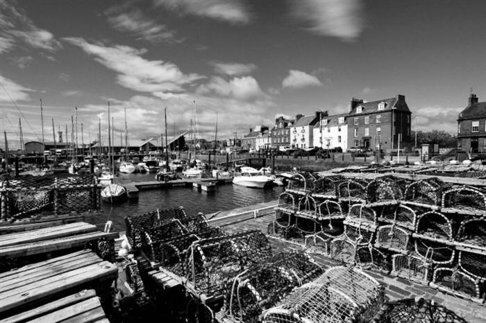 Arbroath Angus Lodge Екстер'єр фото